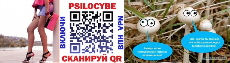 Галлюциногенные грибы GOLDEN TEACHER  hydra рабочий сайт  Боготол  продажа наркотиков 